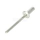 RIVET